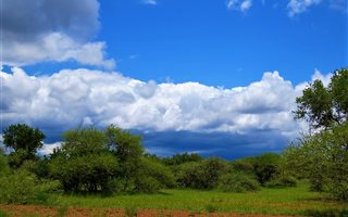 21.5 ha Land available in Dinokeng