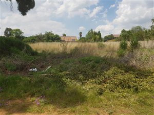 2294 m² Land available in Deneysville