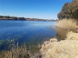 2297 ha Farm in Barkly West