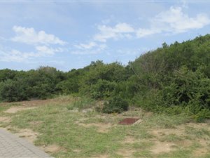 738 m² Land available in Reebok