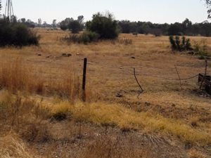 25 ha Farm in Klerksdorp