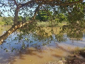 22 ha Farm in Empangeni