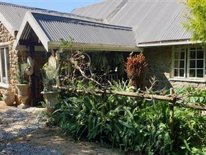 4 Bed House in Howick