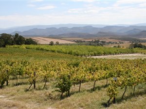 100 ha Farm in Montagu