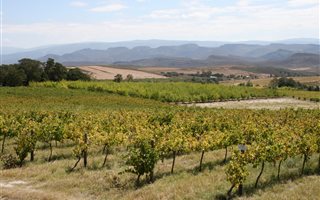 100 ha Farm in Montagu