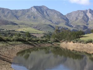 66 ha Farm in Swellendam