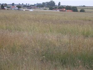 2.1 ha Land available in Meyerton