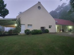 7 ha Farm in Currys Post