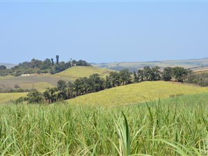 177 ha Farm in Stanger