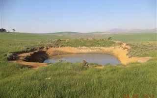 3.3 ha Farm in Tesselaarsdal