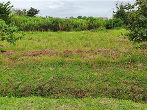 1085 m² Land available in Port Edward