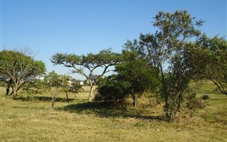 1250 m² Land available in Cotswold Downs Estate