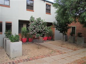 3 Bed House in Leeuwfontein