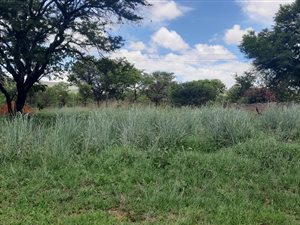 785 m² Land available in Lydenburg