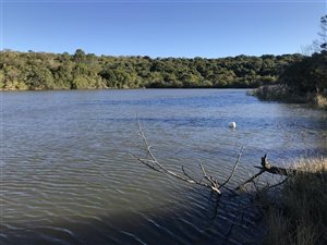 696 ha Farm in Bathurst and Surrounds
