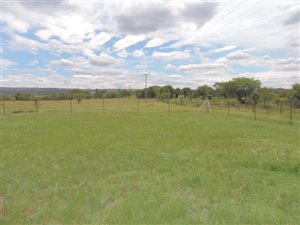 4.3 ha Farm in Boschkop