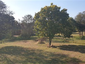 8.5 ha Farm in Elandshoek