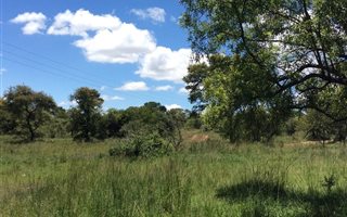 1591.5 ha Farm in Polokwane Central