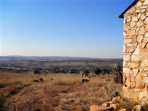 Farm in Donkerhoek