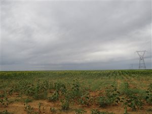 808 ha Farm in Makwassie