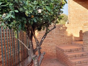 3 Bed Townhouse in Roodekrans
