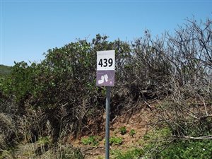 2071 m² Land available in Mossel Bay Central