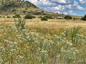 4 ha Land available in Bainsvlei