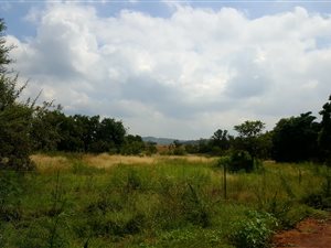 86 ha Land available in Doornrandje