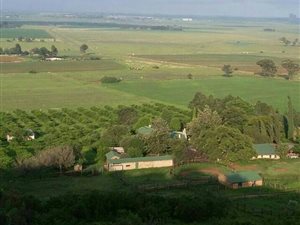 30 ha Farm in Balfour