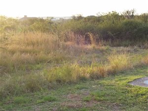 840 m² Land available in Pebble Rock