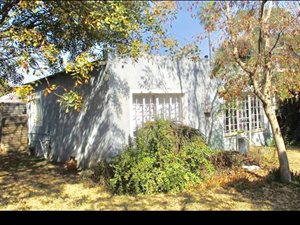 5 Bed House in Arcadia