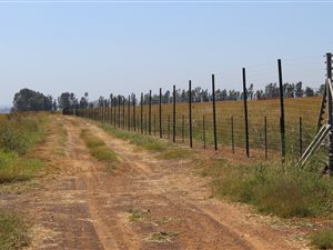 21.4 ha Farm in Bapsfontein