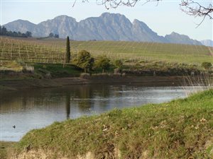 72 ha Farm in Stellenbosch Agricultural