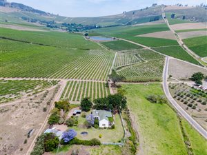 72 ha Farm in Stellenbosch Agricultural