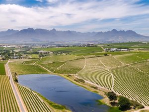 72 ha Farm in Stellenbosch Agricultural
