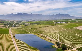 72 ha Farm in Stellenbosch Agricultural