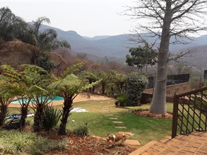 23.6 ha Farm in Louis Trichardt