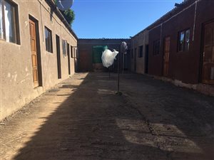 Farm in Inanda