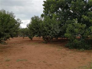 1115 m² Land available in Derby