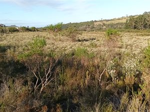 1553 m² Land available in Brackenridge