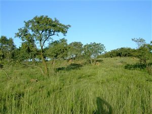 5 ha Land available in Kleinfontein