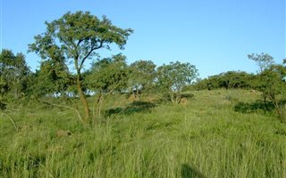 5 ha Land available in Kleinfontein