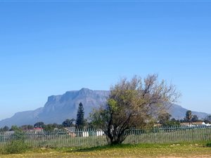 3 Bed House in Monte Vista