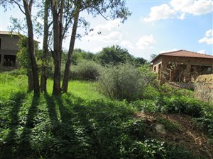 1531 m² Land available in Daleside