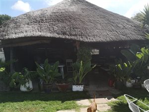 2000 m² Farm in Unitas Park