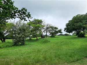 767 m² Land available in Mzingazi Golf Estate