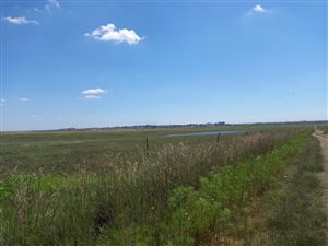 167 ha Farm in Leandra