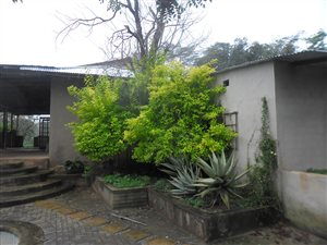 2 ha Farm in Tzaneen