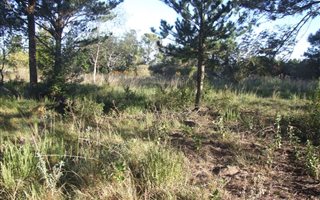 8565 m² Land available in Thornhill