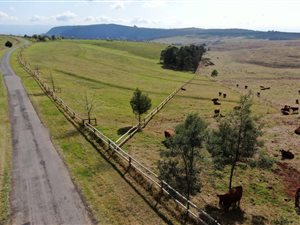 3.2 ha Farm in Hilton